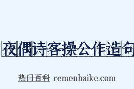 夜偶诗客操公作造句是什么意思的图片